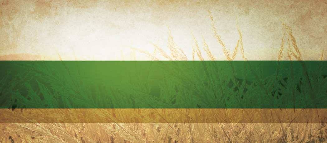 Slide background
